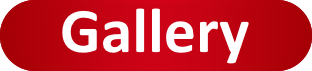 photo gallery
